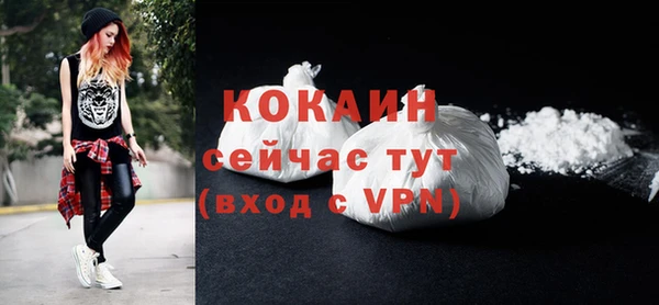индика Арсеньев