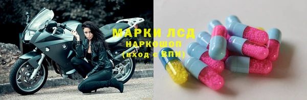гашик Балахна