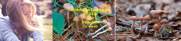 MDMA Premium VHQ Армянск