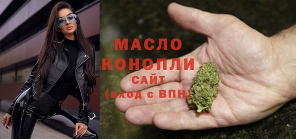 индика Арсеньев