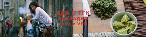 индика Арсеньев