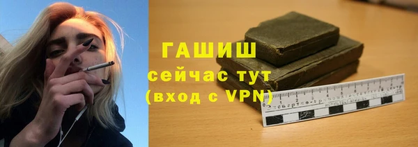 индика Арсеньев
