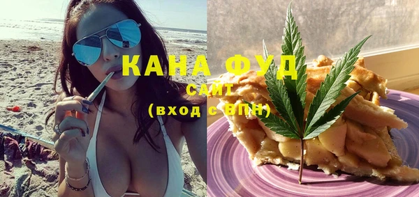 индика Арсеньев