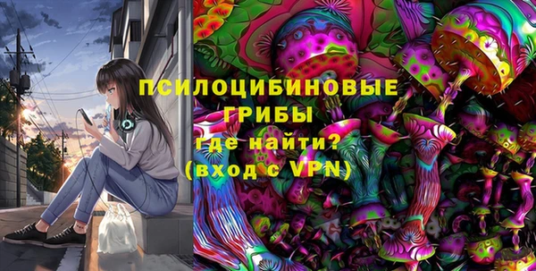 гашик Балахна