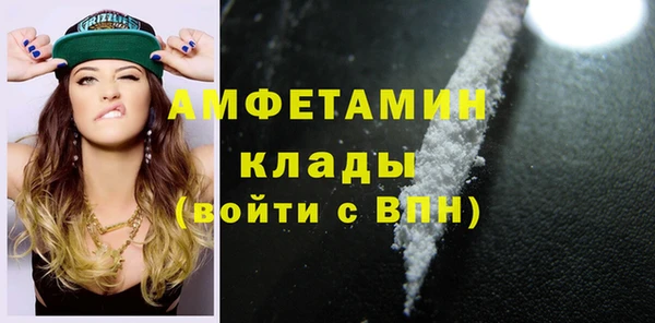 шишки Аркадак