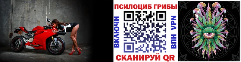 где купить наркотик  Сосенский  Галлюциногенные грибы MAGIC MUSHROOMS 